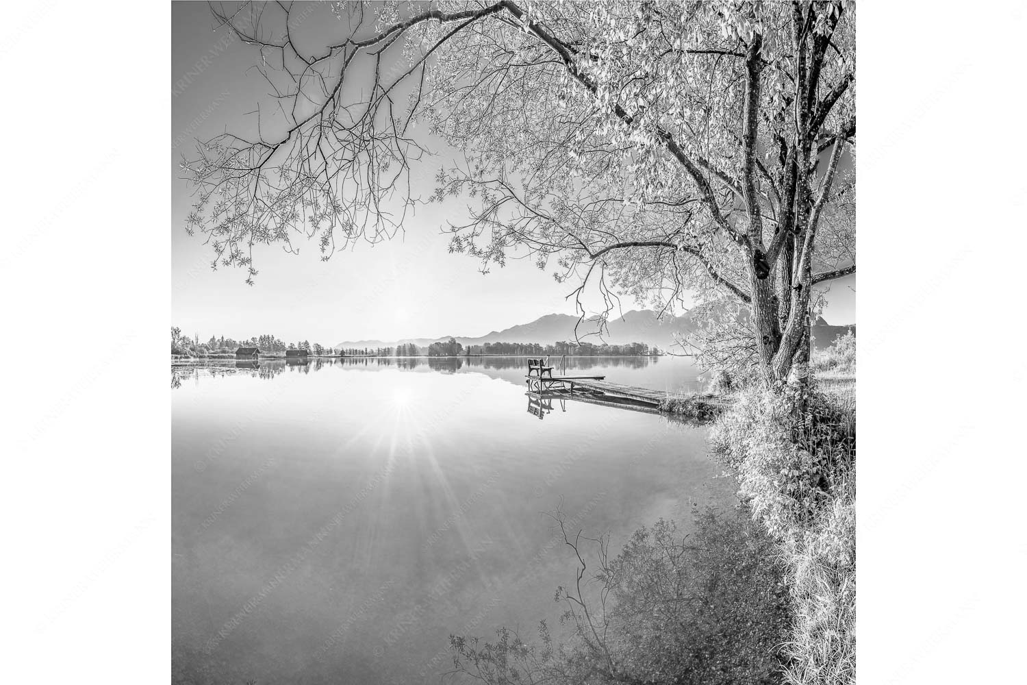 Die Sonne geht immer wieder auf II – Seitenverhältnis 1:1 — Bootssteg am Kochelsee Blick über den Kochelsee bei Schlehdorf in den Sonnenaufgang