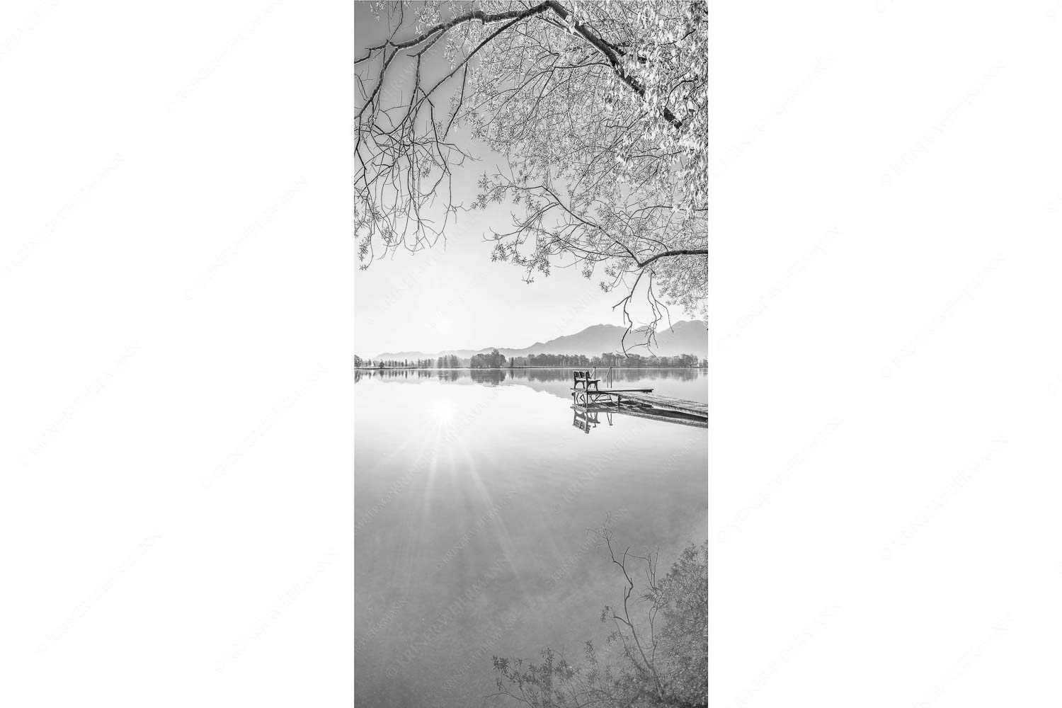 Die Sonne geht immer wieder auf II – Seitenverhältnis 1:2 — Bootssteg am Kochelsee Blick über den Kochelsee bei Schlehdorf in den Sonnenaufgang