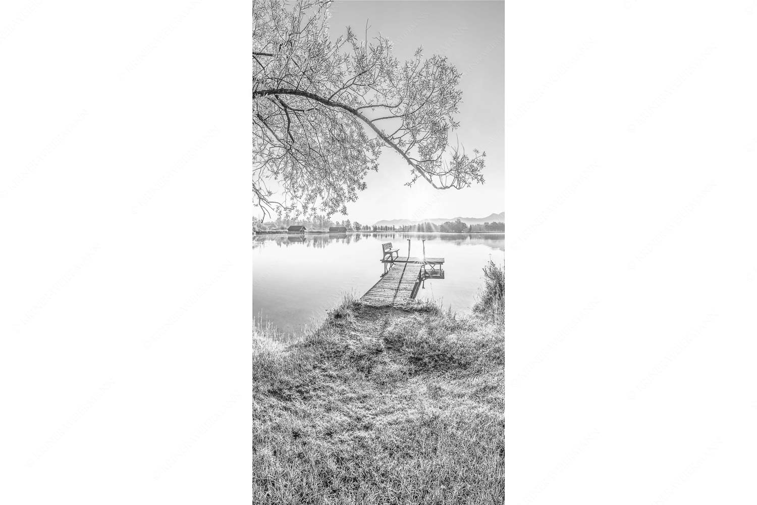 Die Sonne geht immer wieder auf III – Seitenverhältnis 1:2 — Bootssteg mit Bank am Kochelsee Blick über den Kochelsee bei Schlehdorf in den Sonnenaufgang