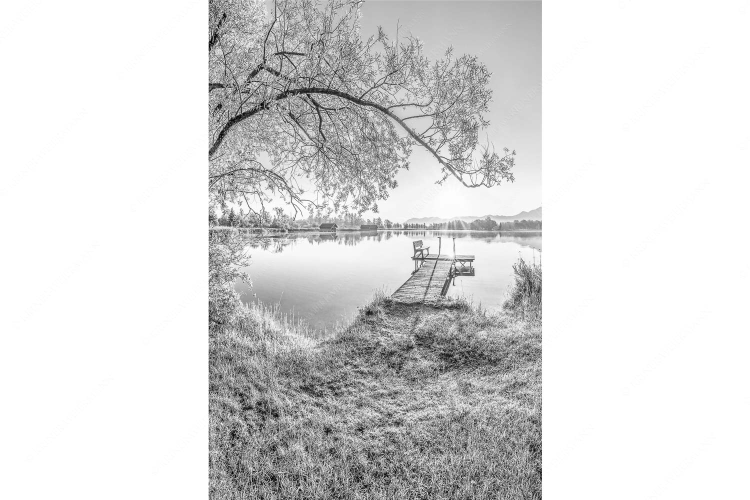 Die Sonne geht immer wieder auf III – Seitenverhältnis 2:3 — Bootssteg mit Bank am Kochelsee Blick über den Kochelsee bei Schlehdorf in den Sonnenaufgang