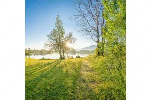 Wiese bei Schlehdorf bei Sonnenaufgang am Kochelsee - Die Sonne geht immer wieder auf - Seitenverhältnis 1:1 - Sonnenaufgang am Kochelsee - weitere Infos unter https://www.kriner-weiermann.de