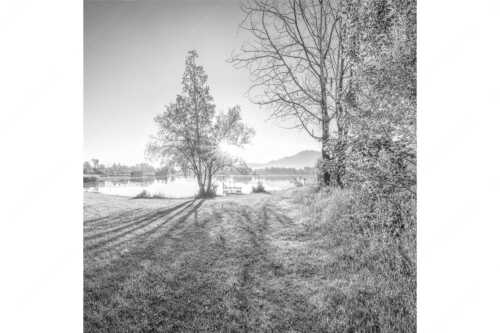 Wiese bei Schlehdorf bei Sonnenaufgang am Kochelsee - Die Sonne geht immer wieder auf - Seitenverhältnis 1:1 - Sonnenaufgang am Kochelsee - weitere Infos unter https://www.kriner-weiermann.de