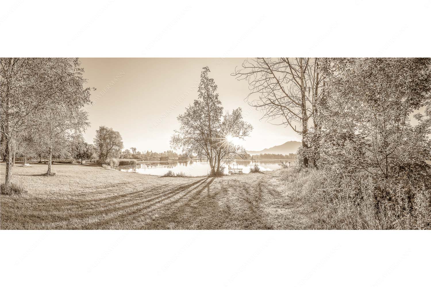 Wiese bei Schlehdorf bei Sonnenaufgang am Kochelsee