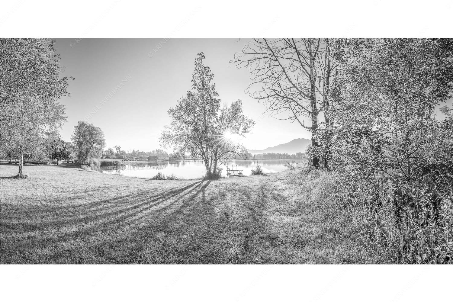 Die Sonne geht immer wieder auf – Seitenverhältnis 2:1 — Sonnenaufgang am Kochelsee Wiese bei Schlehdorf bei Sonnenaufgang am Kochelsee