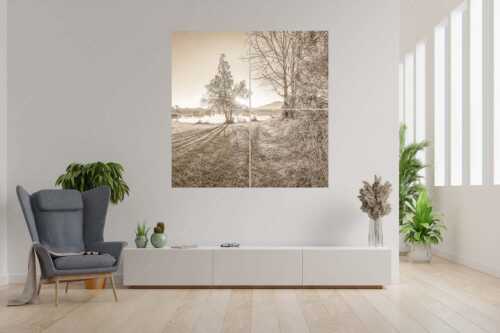 Wiese bei Schlehdorf bei Sonnenaufgang am Kochelsee - Die Sonne geht immer wieder auf - 4er Split, Größe ca. 180x180cm, Seitenverhältnis 1:1 - Sonnenaufgang am Kochelsee - weitere Infos unter https://www.kriner-weiermann.de