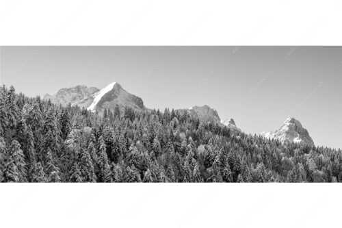Wald bei Garmisch-Partenirchen mit Alpspitze, Zugspitze und Waxenstein im Wettersteingebirge - Die Wichtigsten - Seitenverhältnis 2,5:1 - Alpspitze Zugspitze und Waxenstein - weitere Infos unter https://www.kriner-weiermann.de