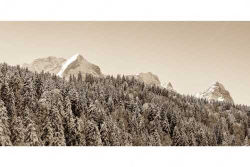 Wald bei Garmisch-Partenirchen mit Alpspitze, Zugspitze und Waxenstein im Wettersteingebirge - Die Wichtigsten - Seitenverhältnis 2:1 - Alpspitze Zugspitze und Waxenstein - weitere Infos unter https://www.kriner-weiermann.de