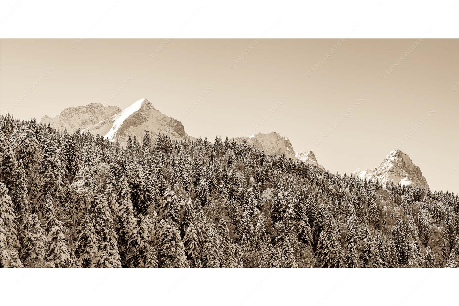 Die Wichtigsten – Seitenverhältnis 2:1 — Alpspitze Zugspitze und Waxenstein Wald bei Garmisch-Partenirchen mit Alpspitze, Zugspitze und Waxenstein im Wettersteingebirge