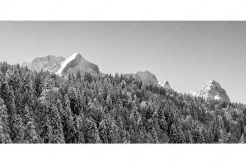 Wald bei Garmisch-Partenirchen mit Alpspitze, Zugspitze und Waxenstein im Wettersteingebirge - Die Wichtigsten - Seitenverhältnis 2:1 - Alpspitze Zugspitze und Waxenstein - weitere Infos unter https://www.kriner-weiermann.de
