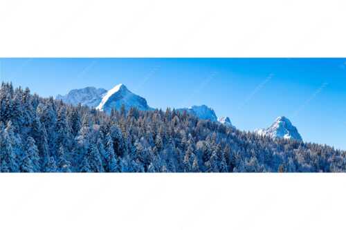 Wald bei Garmisch-Partenirchen mit Alpspitze, Zugspitze und Waxenstein im Wettersteingebirge - Die Wichtigsten - Seitenverhältnis 3:1 - Alpspitze Zugspitze und Waxenstein - weitere Infos unter https://www.kriner-weiermann.de
