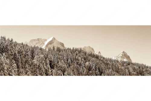 Wald bei Garmisch-Partenirchen mit Alpspitze, Zugspitze und Waxenstein im Wettersteingebirge - Die Wichtigsten - Seitenverhältnis 3:1 - Alpspitze Zugspitze und Waxenstein - weitere Infos unter https://www.kriner-weiermann.de