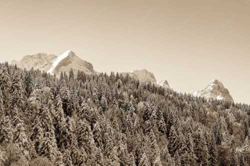 Wald bei Garmisch-Partenirchen mit Alpspitze, Zugspitze und Waxenstein im Wettersteingebirge - Die Wichtigsten - Seitenverhältnis 3:2 - Alpspitze Zugspitze und Waxenstein - weitere Infos unter https://www.kriner-weiermann.de