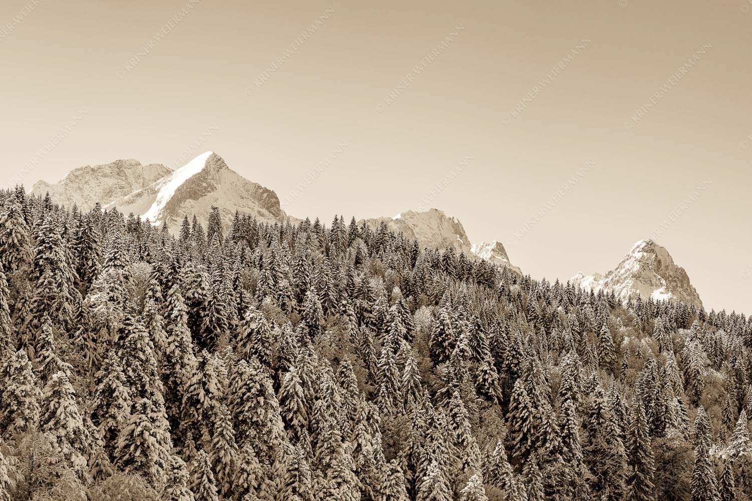 Wald bei Garmisch-Partenirchen mit Alpspitze, Zugspitze und Waxenstein im Wettersteingebirge