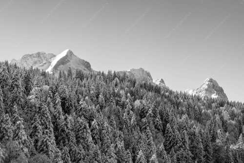 Wald bei Garmisch-Partenirchen mit Alpspitze, Zugspitze und Waxenstein im Wettersteingebirge - Die Wichtigsten - Seitenverhältnis 3:2 - Alpspitze Zugspitze und Waxenstein - weitere Infos unter https://www.kriner-weiermann.de