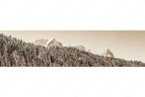 Wald bei Garmisch-Partenirchen mit Alpspitze, Zugspitze und Waxenstein im Wettersteingebirge - Die Wichtigsten - Seitenverhältnis 4:1 - Alpspitze Zugspitze und Waxenstein - weitere Infos unter https://www.kriner-weiermann.de