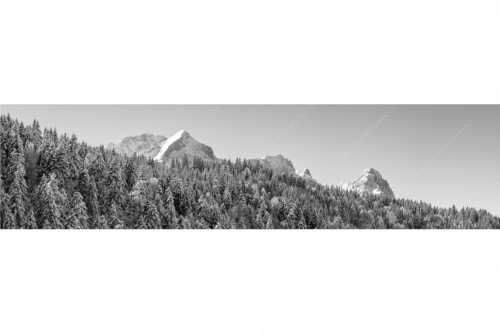 Wald bei Garmisch-Partenirchen mit Alpspitze, Zugspitze und Waxenstein im Wettersteingebirge - Die Wichtigsten - Seitenverhältnis 4:1 - Alpspitze Zugspitze und Waxenstein - weitere Infos unter https://www.kriner-weiermann.de