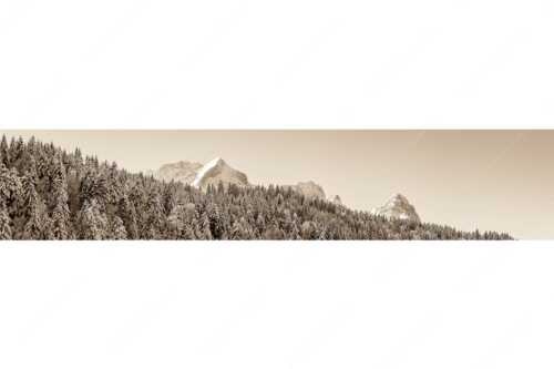 Wald bei Garmisch-Partenirchen mit Alpspitze, Zugspitze und Waxenstein im Wettersteingebirge - Die Wichtigsten - Seitenverhältnis 5:1 - Alpspitze Zugspitze und Waxenstein - weitere Infos unter https://www.kriner-weiermann.de