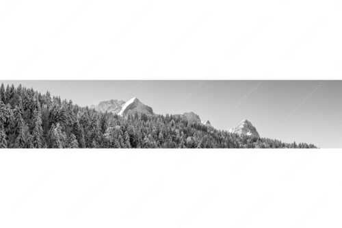 Wald bei Garmisch-Partenirchen mit Alpspitze, Zugspitze und Waxenstein im Wettersteingebirge - Die Wichtigsten - Seitenverhältnis 5:1 - Alpspitze Zugspitze und Waxenstein - weitere Infos unter https://www.kriner-weiermann.de