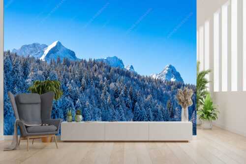 Wald bei Garmisch-Partenirchen mit Alpspitze, Zugspitze und Waxenstein im Wettersteingebirge - Die Wichtigsten - Größe ca. 300x200cm, Seitenverhältnis 3:2 - Alpspitze Zugspitze und Waxenstein - weitere Infos unter https://www.kriner-weiermann.de