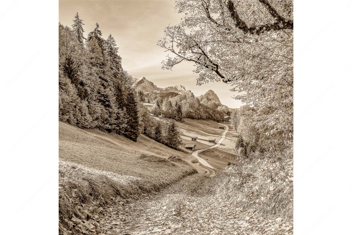 Drei schauen raus – Seitenverhältnis 1:1 — Wamberg mit Alpspitze Zugspitze und Waxenstein Blick über Wamberg zum Zugspitzmassiv