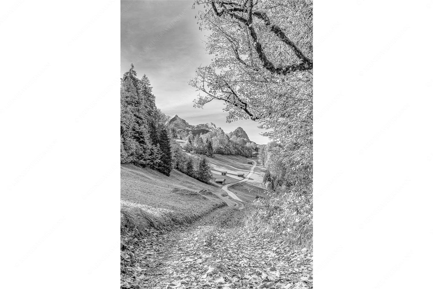 Blick über Wamberg zum Zugspitzmassiv - Drei schauen raus - Seitenverhältnis 2:3 - Wamberg mit Alpspitze Zugspitze und Waxenstein - weitere Infos unter https://www.kriner-weiermann.de