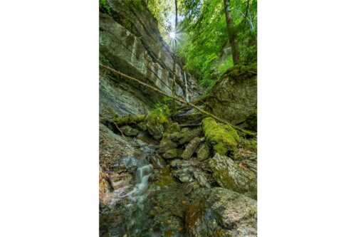 Ein kleiner Bach in dichtem Wald fällt über steile Wände in die Tiefe - Dschungelfieber - Seitenverhältnis 2:3 - Wasserfall nähe Partnachklamm - weitere Infos unter https://www.kriner-weiermann.de