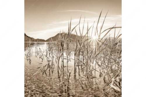 Blick in den Sonnenaufgang am Walchensee mit Jochberg - Durchs Schilf - Seitenverhältnis 1:1 - Walchensee mit Jochberg - weitere Infos unter https://www.kriner-weiermann.de