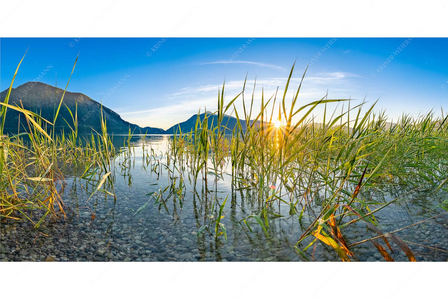 Durchs Schilf – Seitenverhältnis 2:1 — Walchensee mit Jochberg Blick in den Sonnenaufgang am Walchensee mit Jochberg