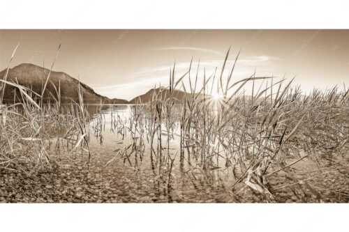 Blick in den Sonnenaufgang am Walchensee mit Jochberg - Durchs Schilf - Seitenverhältnis 2:1 - Walchensee mit Jochberg - weitere Infos unter https://www.kriner-weiermann.de