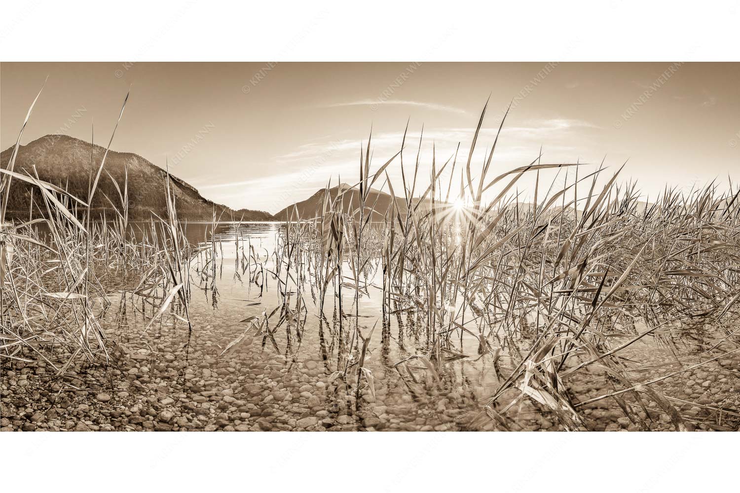 Durchs Schilf – Seitenverhältnis 2:1 — Walchensee mit Jochberg Blick in den Sonnenaufgang am Walchensee mit Jochberg