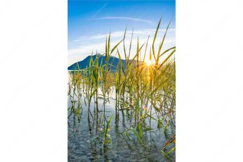 Blick in den Sonnenaufgang am Walchensee mit Jochberg - Durchs Schilf - Seitenverhältnis 2:3 - Walchensee mit Jochberg - weitere Infos unter https://www.kriner-weiermann.de