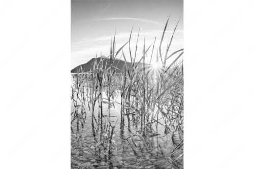 Blick in den Sonnenaufgang am Walchensee mit Jochberg - Durchs Schilf - Seitenverhältnis 2:3 - Walchensee mit Jochberg - weitere Infos unter https://www.kriner-weiermann.de