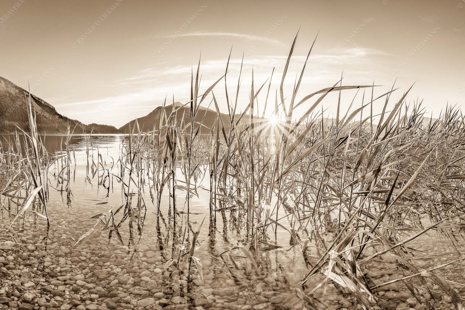 Durchs Schilf – Seitenverhältnis 3:2 — Walchensee mit Jochberg Blick in den Sonnenaufgang am Walchensee mit Jochberg