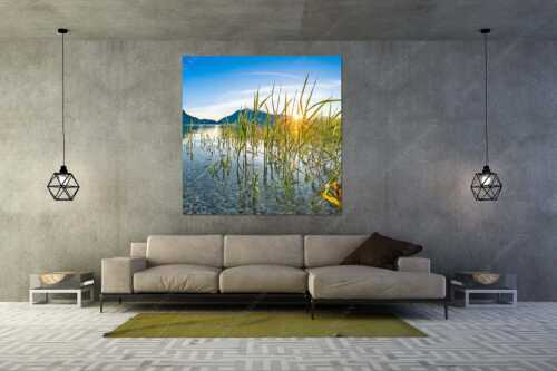 Blick in den Sonnenaufgang am Walchensee mit Jochberg - Durchs Schilf - Größe ca. 160x160cm, Seitenverhältnis 1:1 - Walchensee mit Jochberg - weitere Infos unter https://www.kriner-weiermann.de