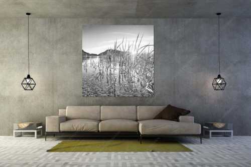 Blick in den Sonnenaufgang am Walchensee mit Jochberg - Durchs Schilf - Größe ca. 160x160cm, Seitenverhältnis 1:1 - Walchensee mit Jochberg - weitere Infos unter https://www.kriner-weiermann.de