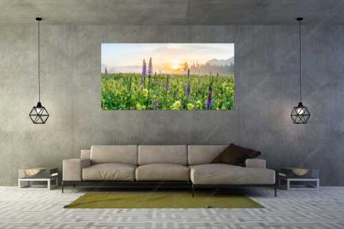 Sonnenaufgang hinter dem Wiesmahd bei Wallgau - Echte Blüten - Größe ca. 200x100cm, Seitenverhältnis 2:1 - Blumenwiese mit Orchideen - weitere Infos unter https://www.kriner-weiermann.de