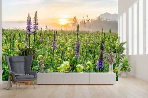 Sonnenaufgang hinter dem Wiesmahd bei Wallgau - Echte Blüten - Größe ca. 300x200cm, Seitenverhältnis 3:2 - Blumenwiese mit Orchideen - weitere Infos unter https://www.kriner-weiermann.de