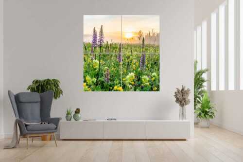 Sonnenaufgang hinter dem Wiesmahd bei Wallgau - Echte Blüten - 4er Split, Größe ca. 180x180cm, Seitenverhältnis 1:1 - Blumenwiese mit Orchideen - weitere Infos unter https://www.kriner-weiermann.de