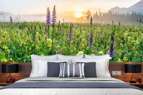 Sonnenaufgang hinter dem Wiesmahd bei Wallgau - Echte Blüten - Größe ca. 350x140cm, Seitenverhältnis 2,5:1 - Blumenwiese mit Orchideen - weitere Infos unter https://www.kriner-weiermann.de