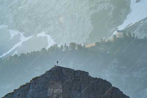 Gams an der Stuibenspitze mit Schachenschloss im Hintergrund - Einsamer Streiter - Seitenverhältnis 3:2 - Gams mit Schachenschloss - weitere Infos unter https://www.kriner-weiermann.de