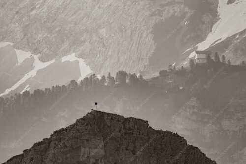 Gams an der Stuibenspitze mit Schachenschloss im Hintergrund - Einsamer Streiter - Seitenverhältnis 3:2 - Gams mit Schachenschloss - weitere Infos unter https://www.kriner-weiermann.de