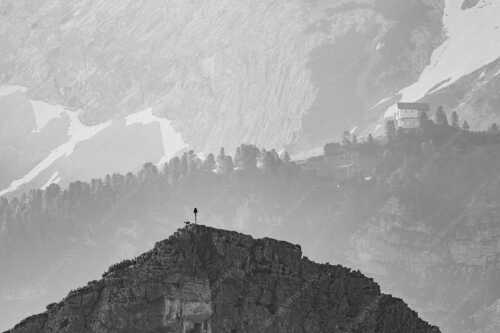 Gams an der Stuibenspitze mit Schachenschloss im Hintergrund - Einsamer Streiter - Seitenverhältnis 3:2 - Gams mit Schachenschloss - weitere Infos unter https://www.kriner-weiermann.de