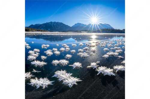 Große Eiskristalle auf dem zugefrorenen Barmsee mit Karwendelgebirge - Eisrosenblüte - Seitenverhältnis 1:1 - Eiskristalle am Barmsee - weitere Infos unter https://www.kriner-weiermann.de