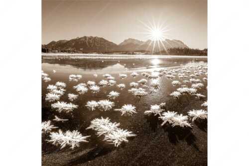 Große Eiskristalle auf dem zugefrorenen Barmsee mit Karwendelgebirge - Eisrosenblüte - Seitenverhältnis 1:1 - Eiskristalle am Barmsee - weitere Infos unter https://www.kriner-weiermann.de