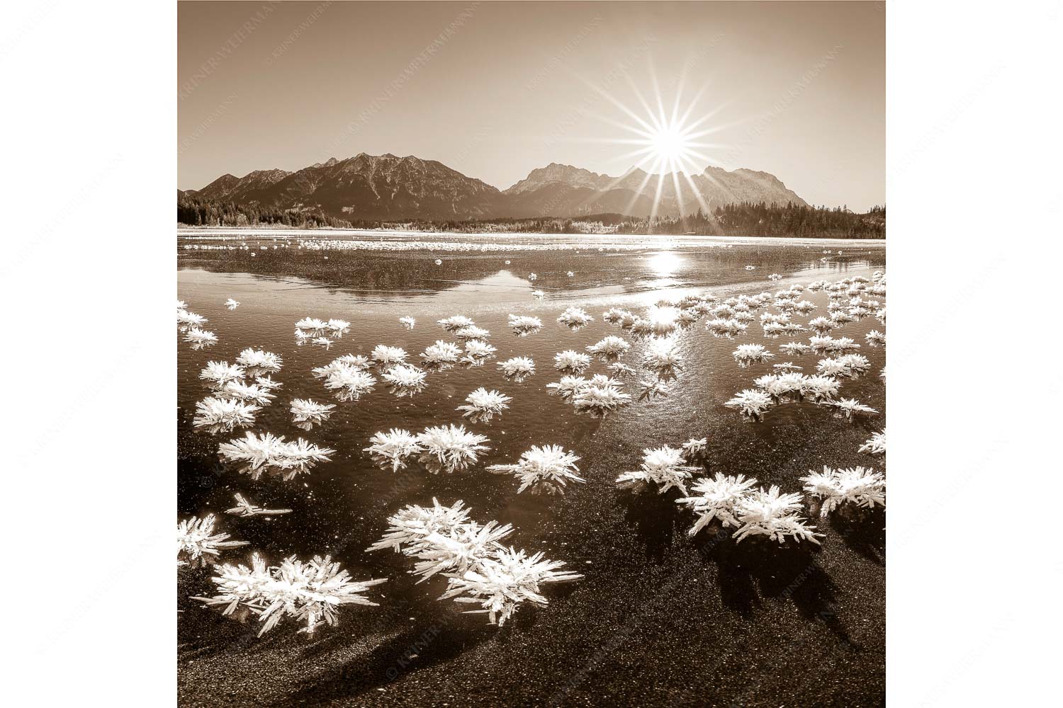 Eisrosenblüte – Seitenverhältnis 1:1 — Eiskristalle am Barmsee Große Eiskristalle auf dem zugefrorenen Barmsee mit Karwendelgebirge