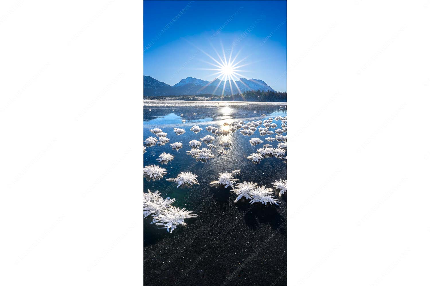 Eisrosenblüte – Seitenverhältnis 1:2 — Eiskristalle am Barmsee Große Eiskristalle auf dem zugefrorenen Barmsee mit Karwendelgebirge