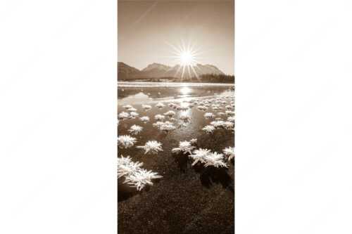 Große Eiskristalle auf dem zugefrorenen Barmsee mit Karwendelgebirge - Eisrosenblüte - Seitenverhältnis 1:2 - Eiskristalle am Barmsee - weitere Infos unter https://www.kriner-weiermann.de