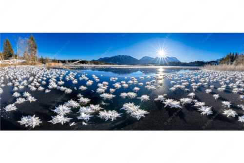 Große Eiskristalle auf dem zugefrorenen Barmsee mit Karwendelgebirge - Eisrosenblüte - Seitenverhältnis 2,5:1 - Eiskristalle am Barmsee - weitere Infos unter https://www.kriner-weiermann.de