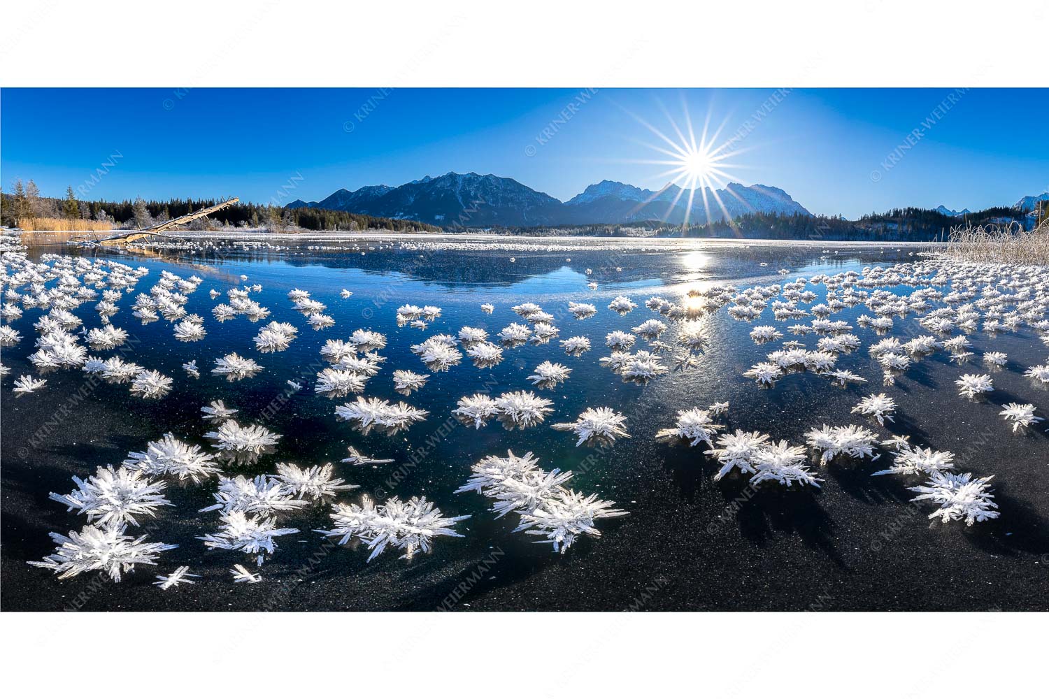 Eisrosenblüte – Seitenverhältnis 2:1 — Eiskristalle am Barmsee Große Eiskristalle auf dem zugefrorenen Barmsee mit Karwendelgebirge