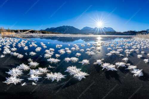Große Eiskristalle auf dem zugefrorenen Barmsee mit Karwendelgebirge - Eisrosenblüte - Seitenverhältnis 3:2 - Eiskristalle am Barmsee - weitere Infos unter https://www.kriner-weiermann.de